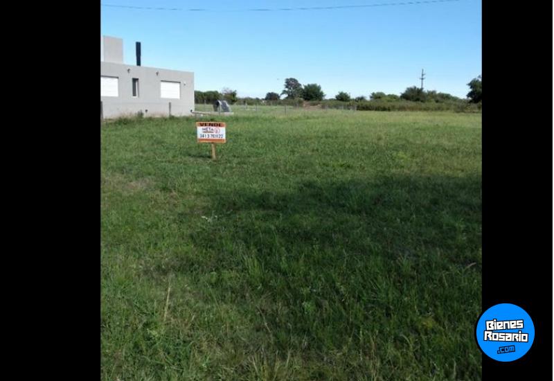 Terrenos - Oliveros - Venta