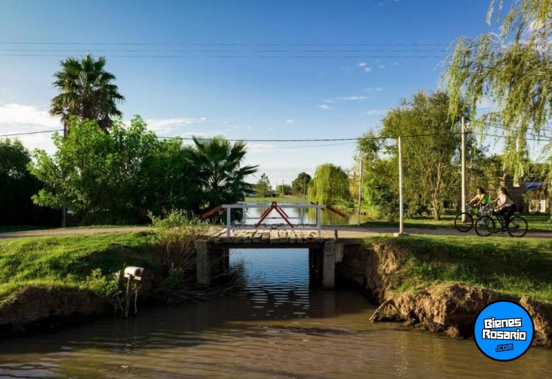 Terrenos - Oliveros - Venta