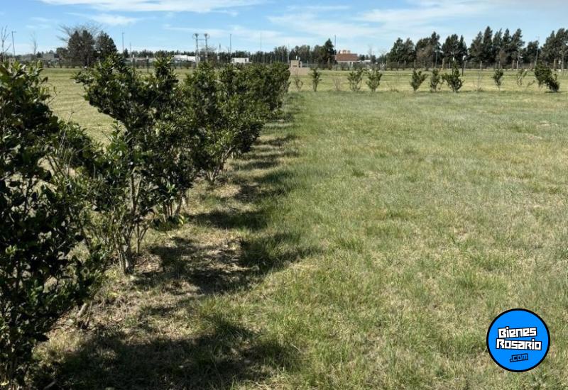Terrenos - Rosario - Venta