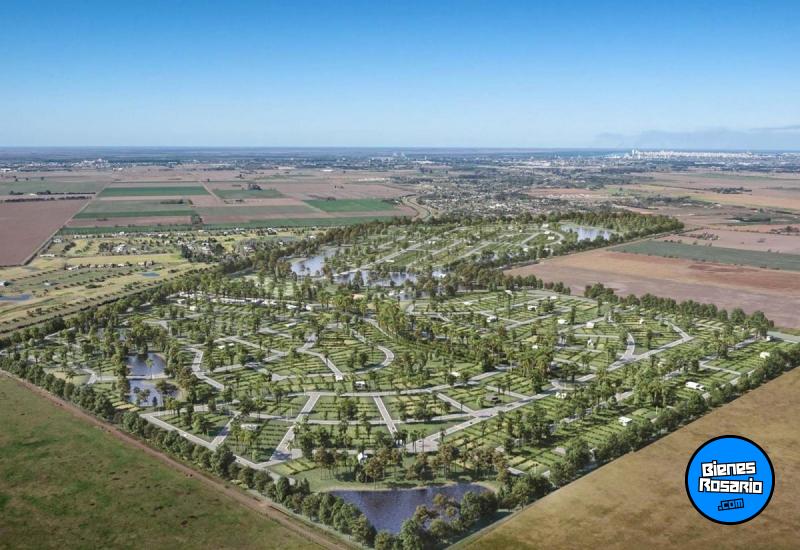 Terrenos - Ibarlucea - Venta