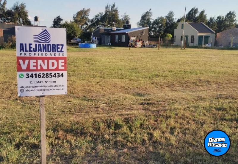 Terrenos - Ricardone - Venta