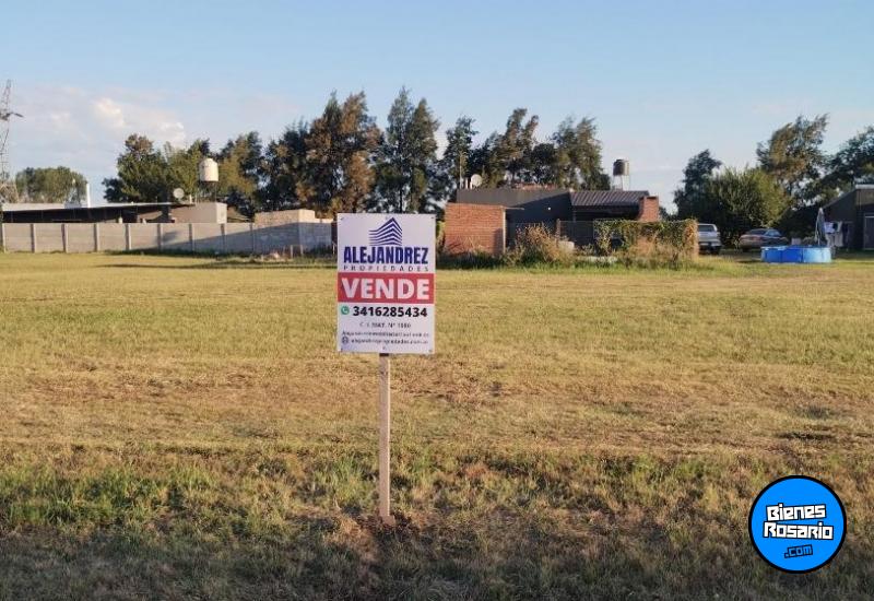 Terrenos - Ricardone - Venta