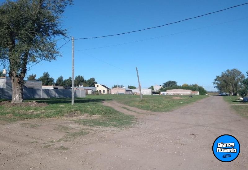 Terrenos - Ricardone - Venta
