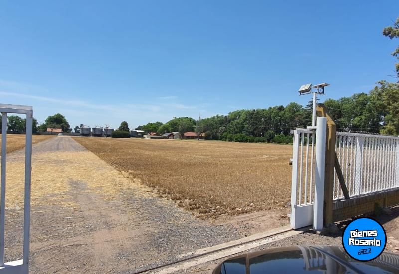 Campos - San Jeronimo Sur - Venta