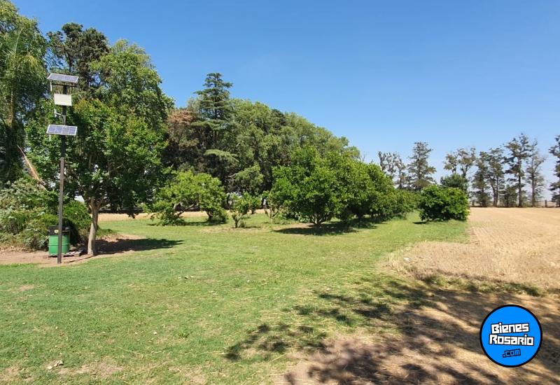 Campos - San Jeronimo Sur - Venta