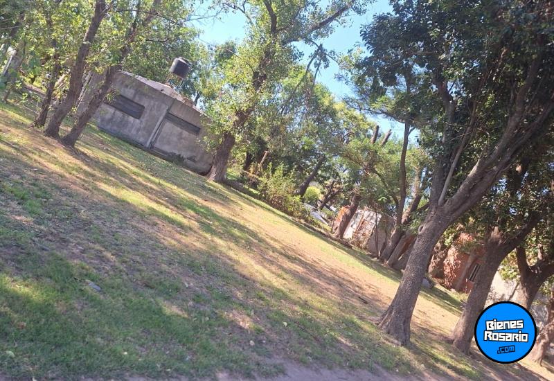Terrenos - Andino - Venta