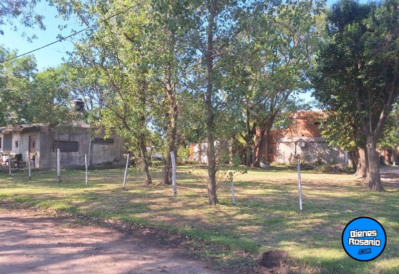 Terrenos - Andino - Venta