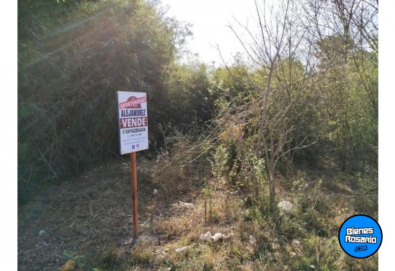 Terrenos - Oliveros - Venta
