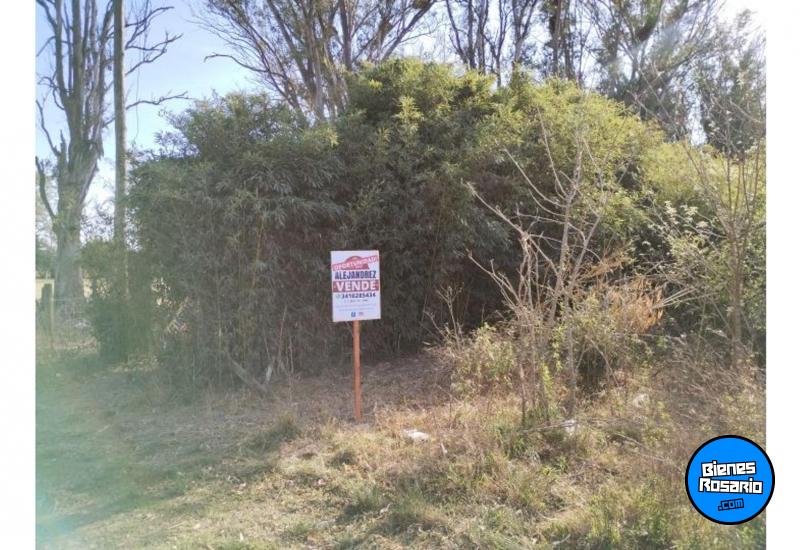 Terrenos - Oliveros - Venta