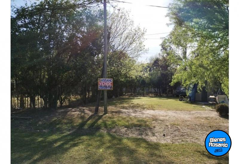 Terrenos - Oliveros - Venta