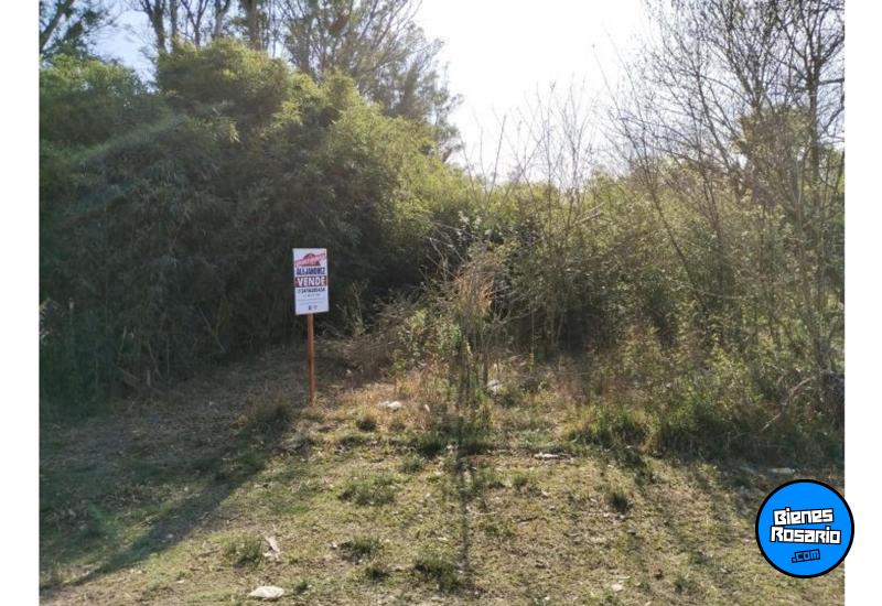Terrenos - Oliveros - Venta