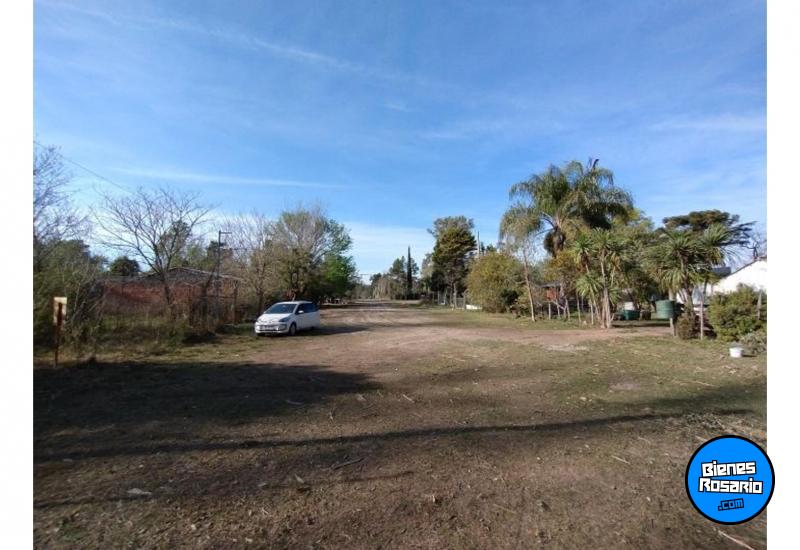 Terrenos - Oliveros - Venta