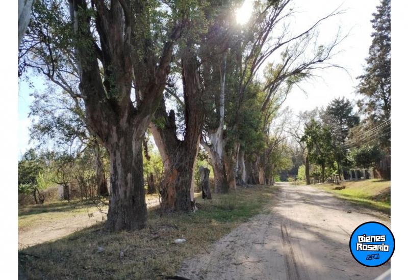 Terrenos - Oliveros - Venta
