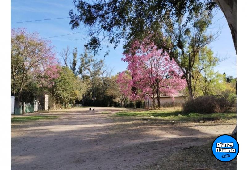Terrenos - Oliveros - Venta