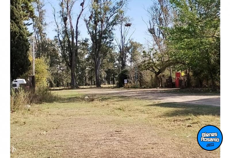 Terrenos - Oliveros - Venta