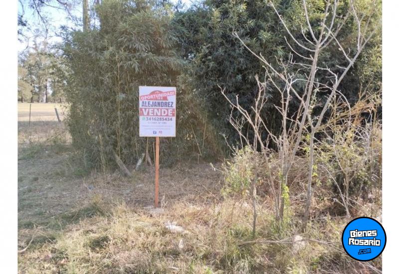 Terrenos - Oliveros - Venta