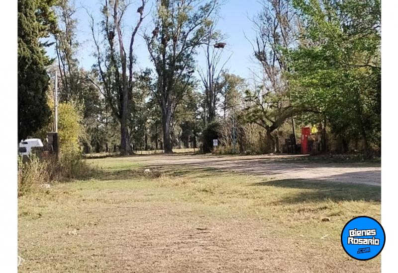 Terrenos - Oliveros - Venta