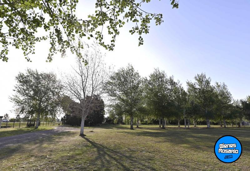 Terrenos - Piero - Venta