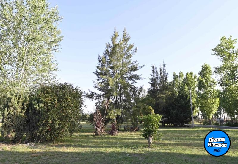 Terrenos - Piero - Venta