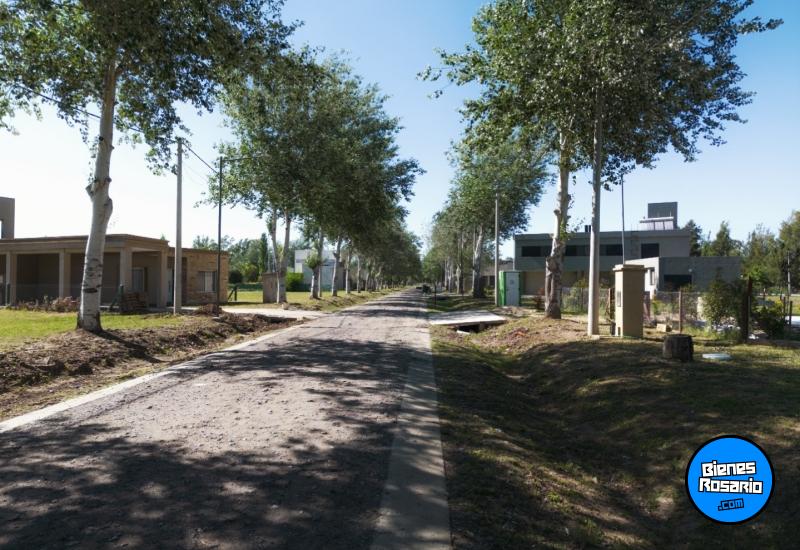 Terrenos - Pi�ero - Venta