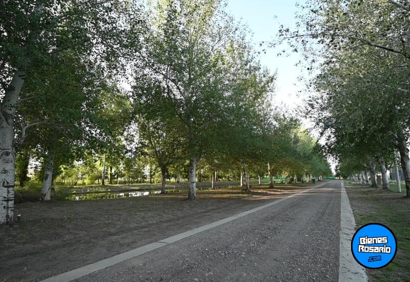 Terrenos - Piero - Venta