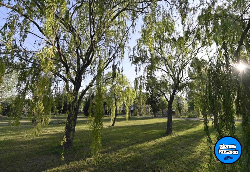 Terrenos - Piero - Venta