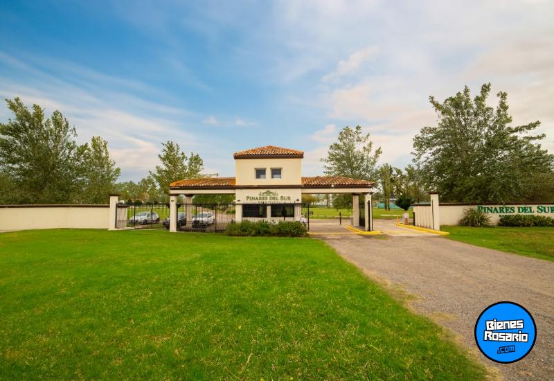 Terrenos - Piero - Venta