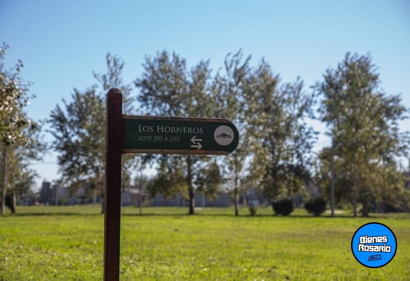 Terrenos - Piero - Venta