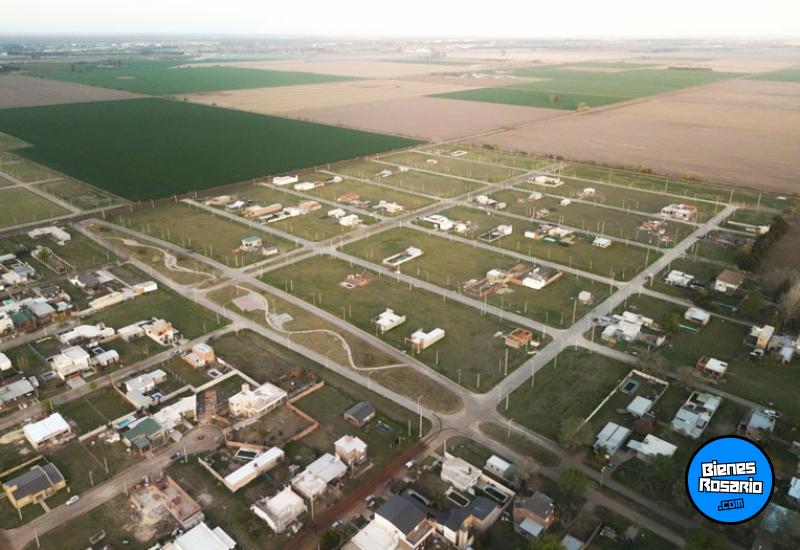 Terrenos - Ricardone - Venta