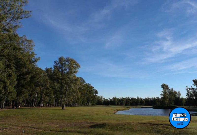 Terrenos - Iriondo - Venta