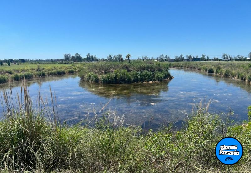Terrenos - Carcaraa - Venta