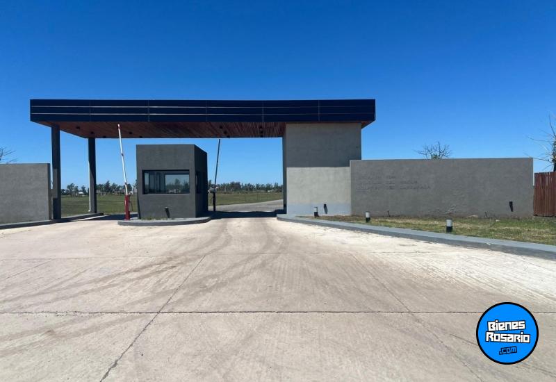 Terrenos - Carcaraa - Venta