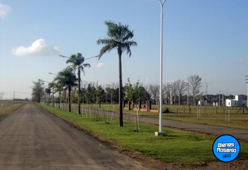 Terrenos - Roldan - Venta