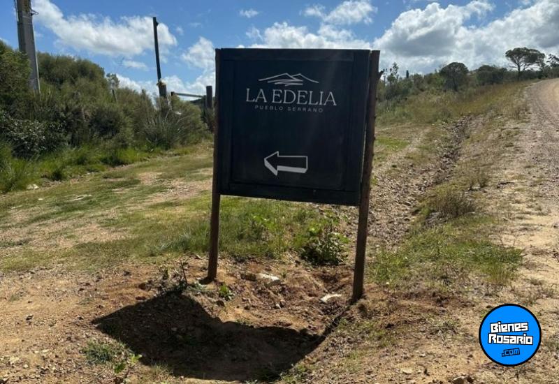 Campos - Otra Ciudad - Venta