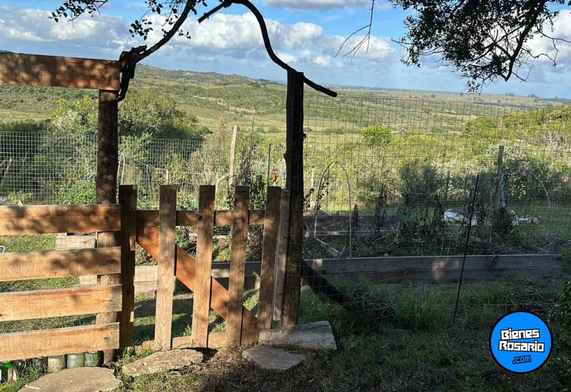Campos - Otra Ciudad - Venta