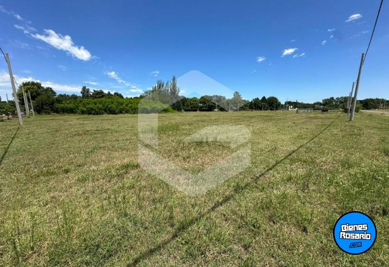 Terrenos - Roldan - Venta