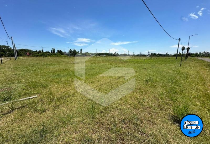 Terrenos - Roldan - Venta