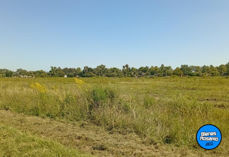 Terrenos - Villa Amelia - Venta