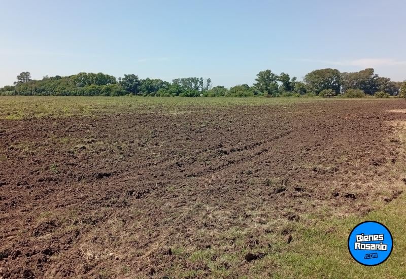 Terrenos - Villa Amelia - Venta