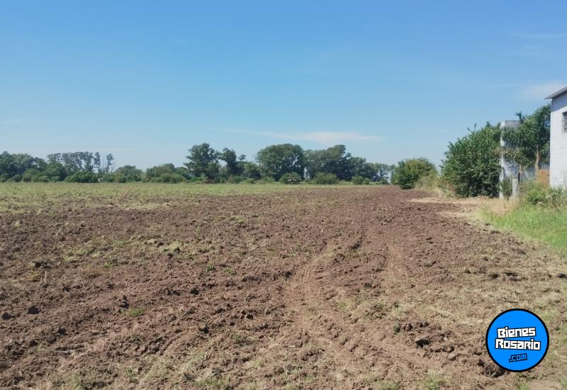 Terrenos - Villa Amelia - Venta