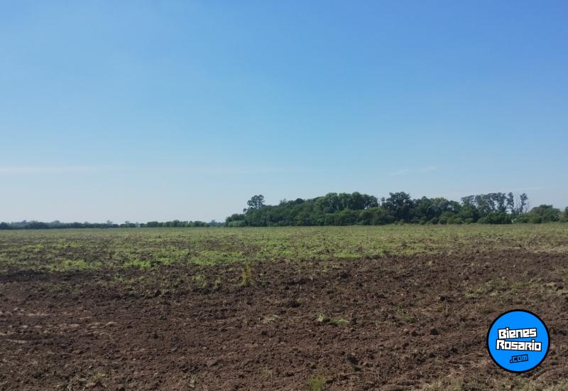 Terrenos - Villa Amelia - Venta