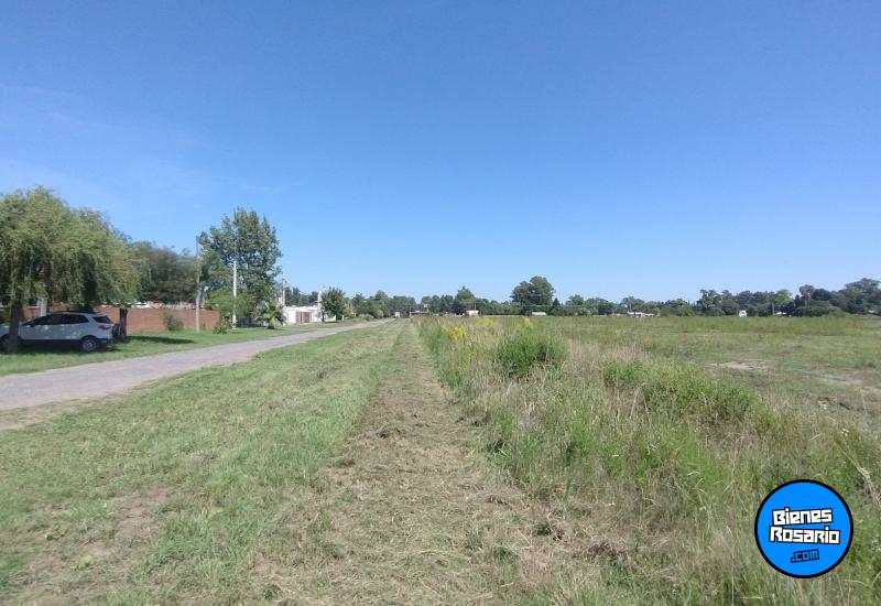 Terrenos - Villa Amelia - Venta