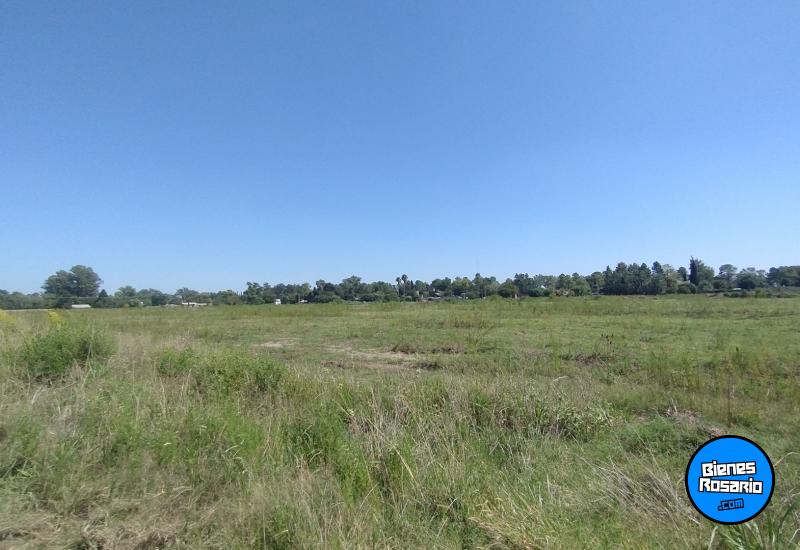 Terrenos - Villa Amelia - Venta