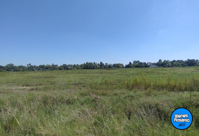 Terrenos - Villa Amelia - Venta