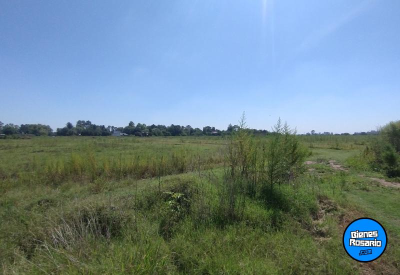Terrenos - Villa Amelia - Venta