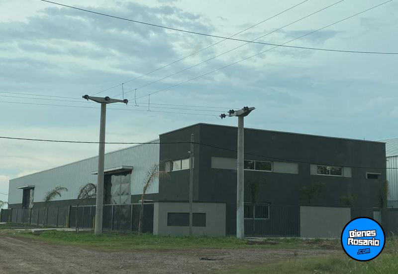 Galpones / Depósitos - Rosario -  Alquiler