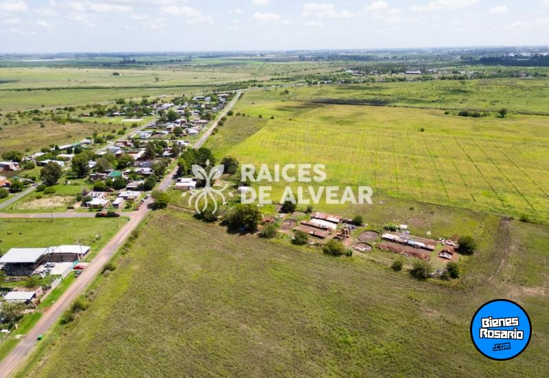 Terrenos - Alvear - Venta