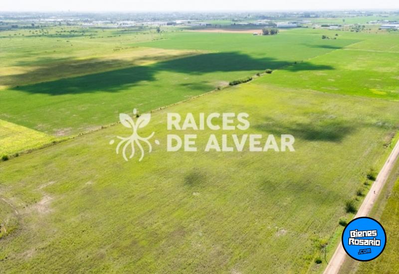 Terrenos - Alvear - Venta
