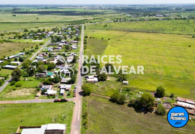 Terrenos - Alvear - Venta