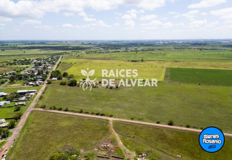 Terrenos - Alvear - Venta
